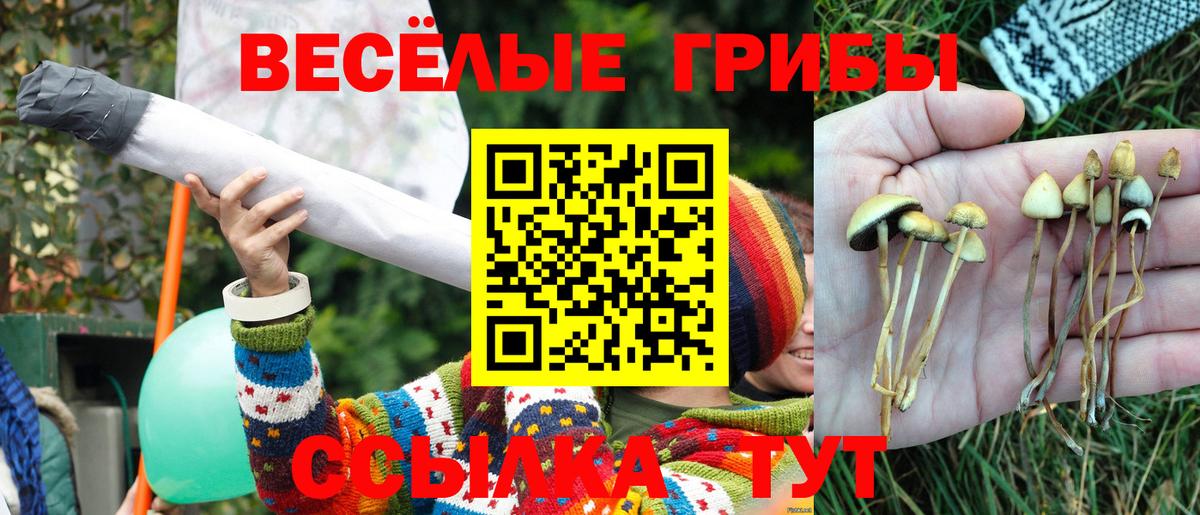 Псилоцибиновые грибы GOLDEN TEACHER  Галлюциногенные грибы мицелий  Одинцово  Вход с VPN 